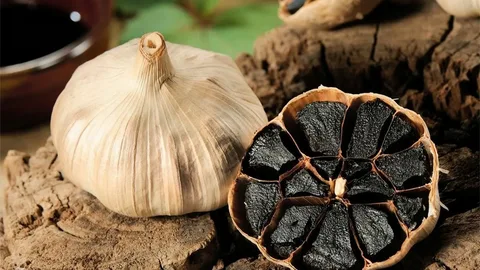 تصویر 1 از سیر سیاه قوطی ستاره دخت لوکس با ظاهر شیک ویژه